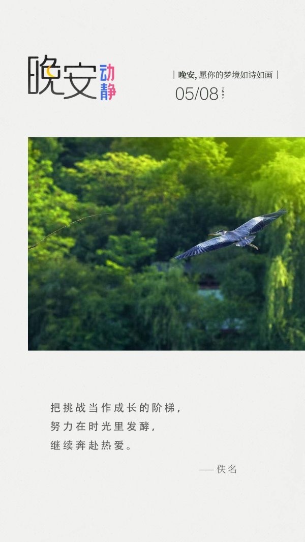 九鼎配资 晚安丨把挑战当作成长的阶梯，努力在时光里发酵，继续奔赴热爱