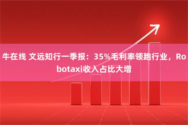 牛在线 文远知行一季报：35%毛利率领跑行业，Robotaxi收入占比大增