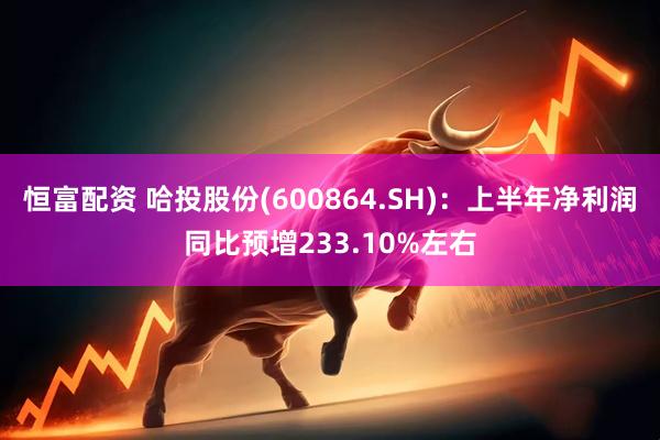 恒富配资 哈投股份(600864.SH)：上半年净利润同比预增233.10%左右