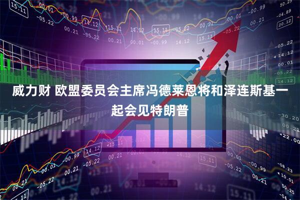 威力财 欧盟委员会主席冯德莱恩将和泽连斯基一起会见特朗普