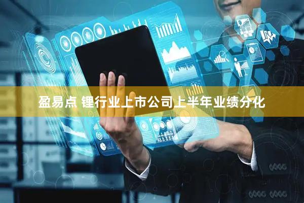 盈易点 锂行业上市公司上半年业绩分化