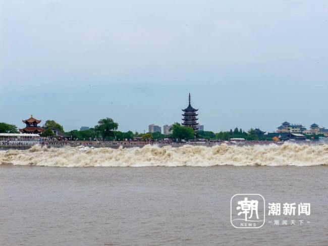 记者踏浪钱塘江“鬼王潮” 万马奔腾壮观景象