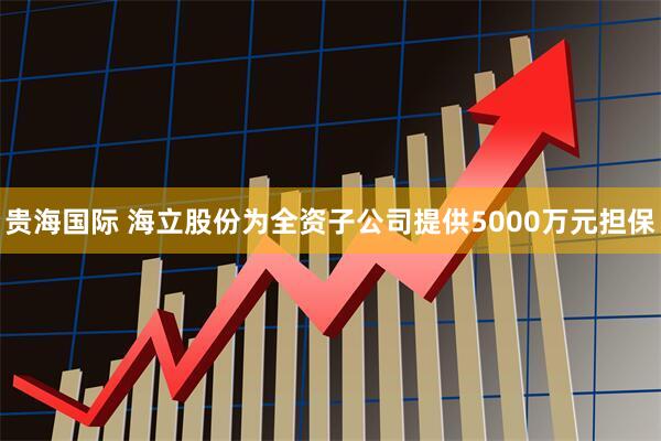 贵海国际 海立股份为全资子公司提供5000万元担保